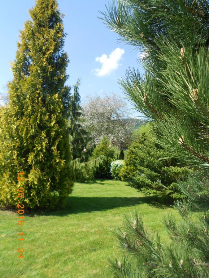 Agroturystyka Zielony Ogrod Scinawka Srednia Dış mekan fotoğraf